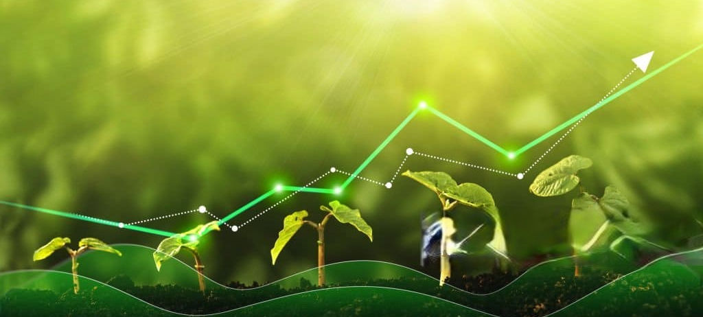 PLANTA CRECIENDO TECNOLOGIA REDUCIDA sin marca de agua.jpg